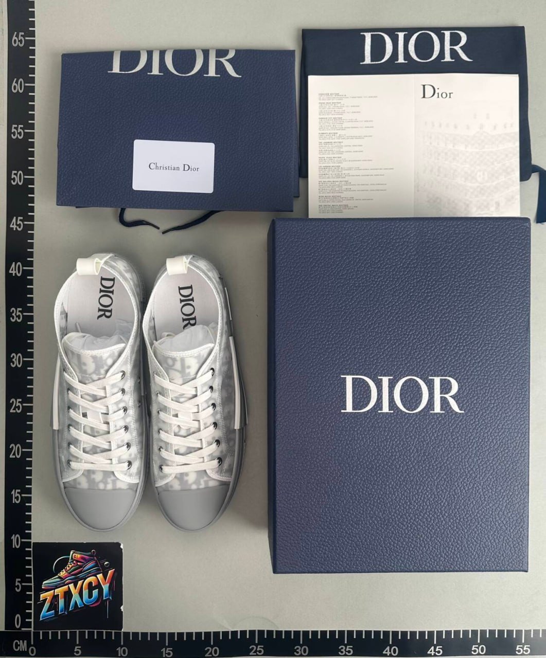  DIOR B23  SHOES   D10RCY
