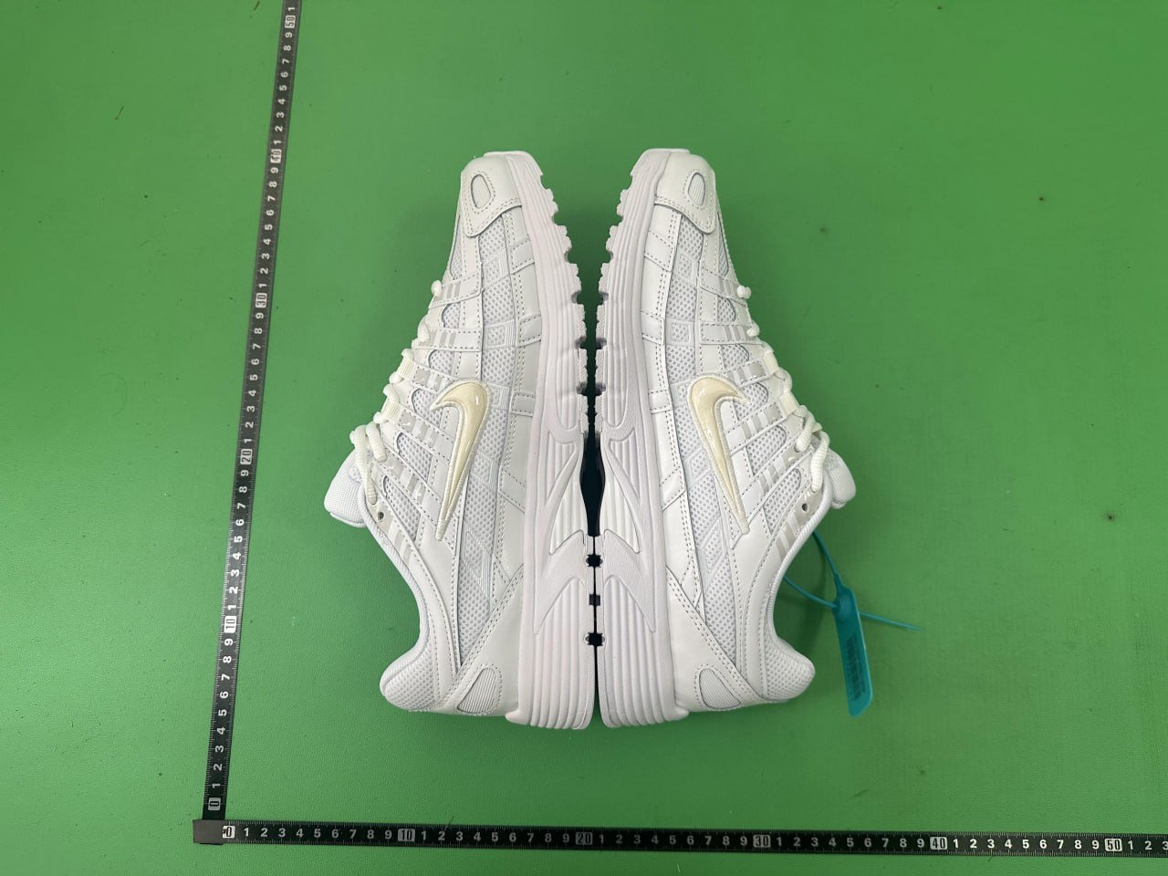 # CNn1 * ep6000collection